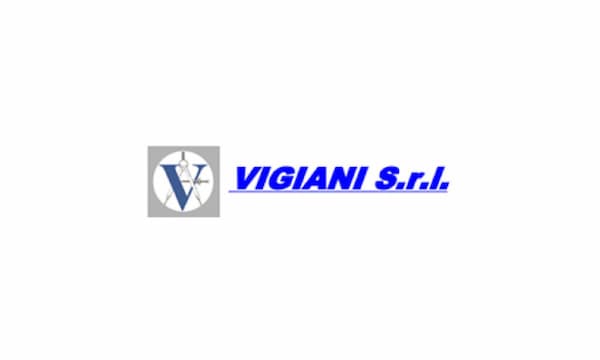 Vigiani srl